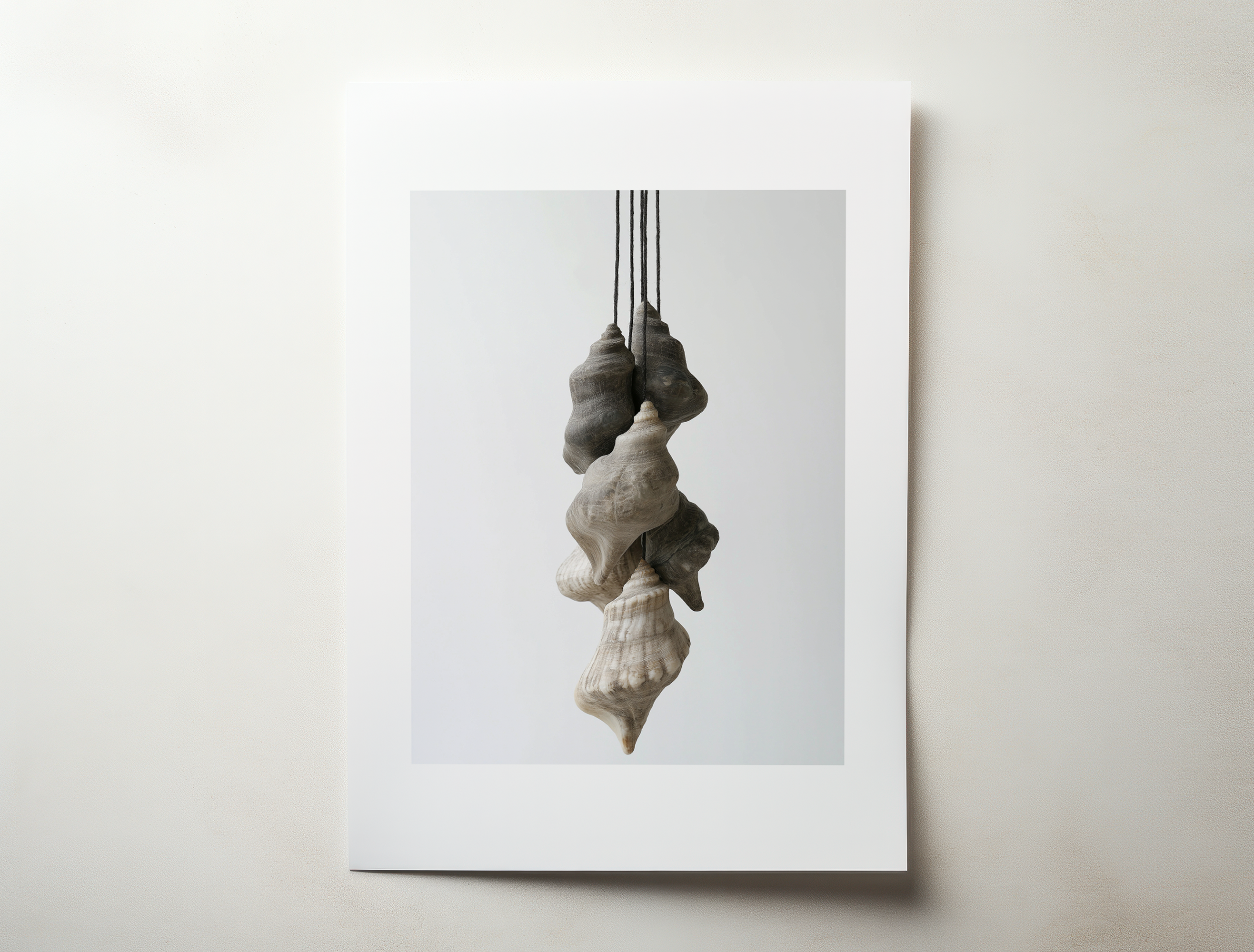 Seronne minimalist shell photography wall art with suspended sculptural seashell composition