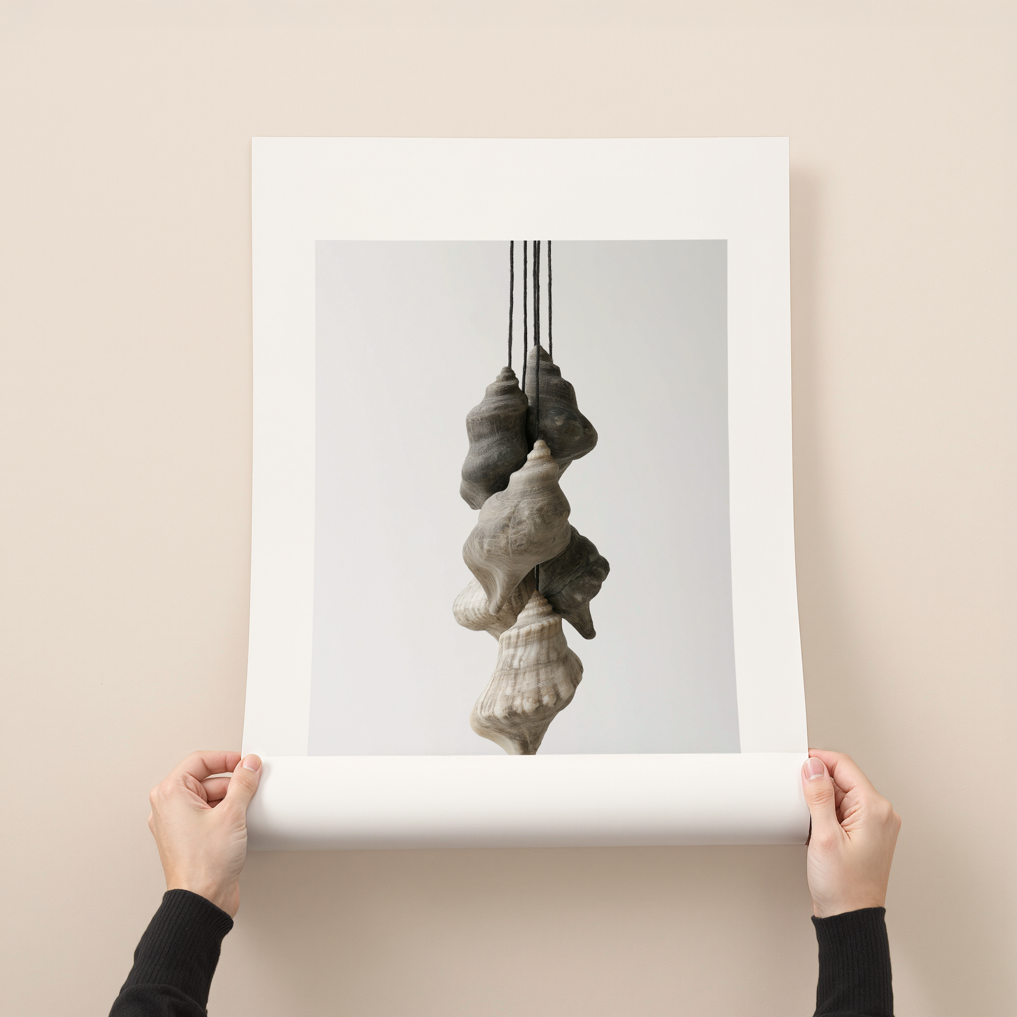 Seronne minimalist shell photography wall art with suspended sculptural seashell composition