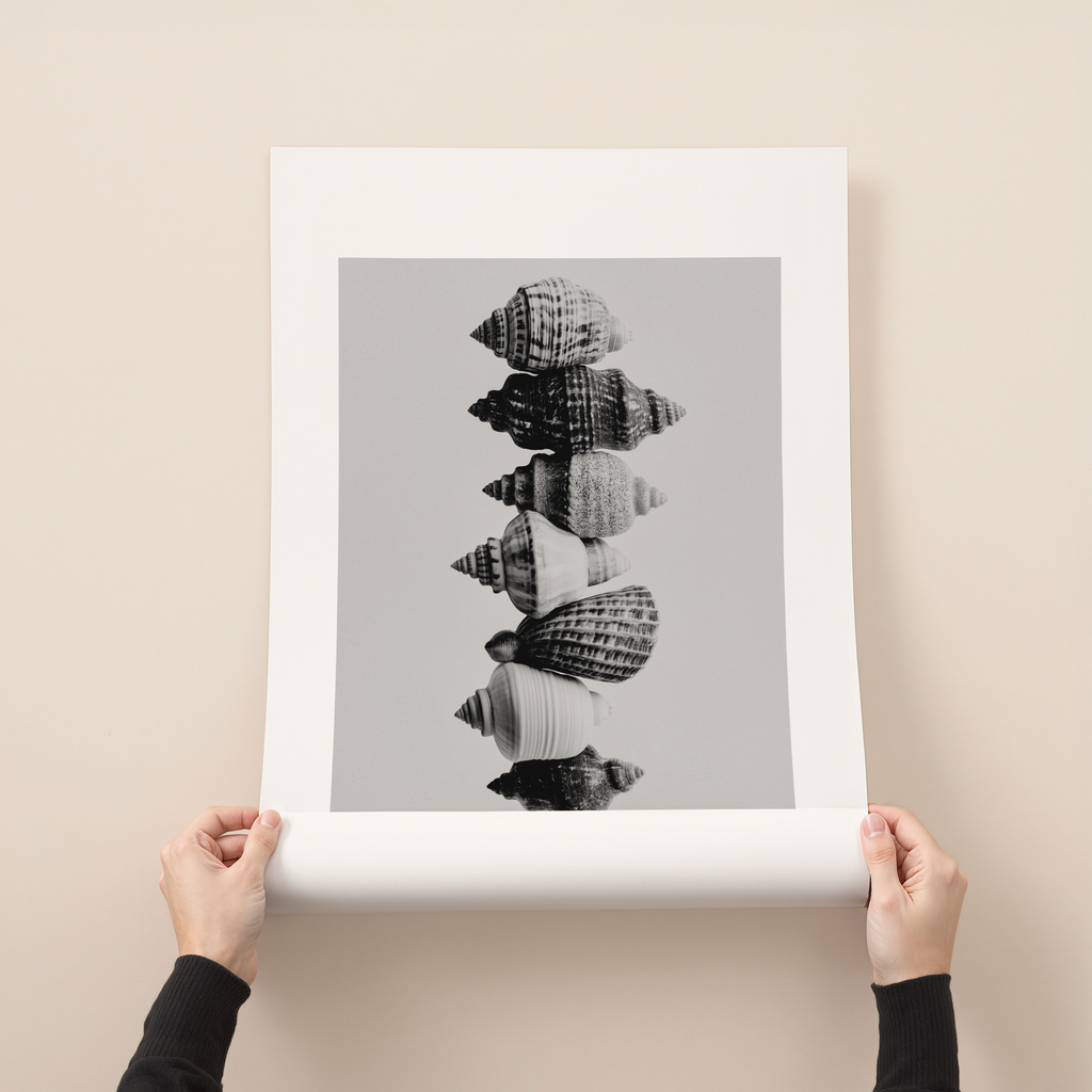 Teralis black and white shell photography wall art with stacked seashell composition