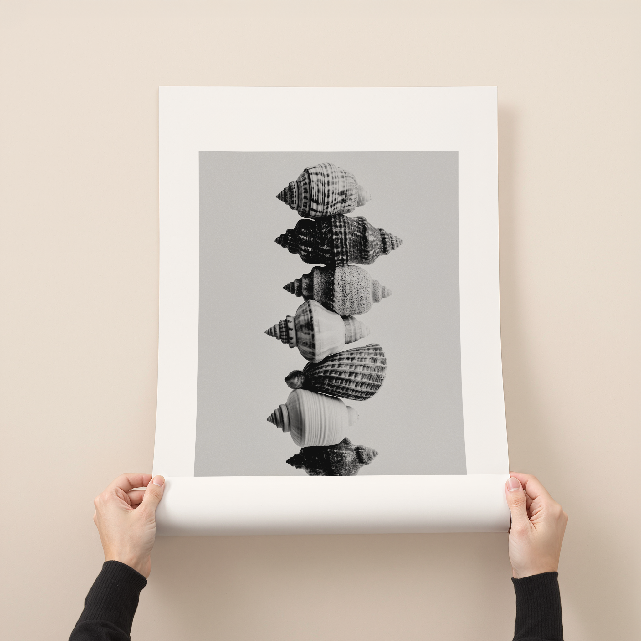 Teralis black and white shell photography wall art with stacked seashell composition