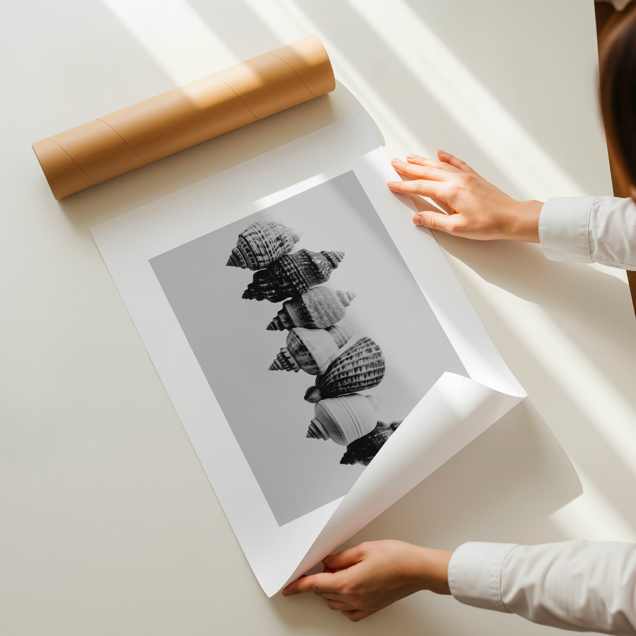 Teralis black and white shell photography wall art with stacked seashell composition